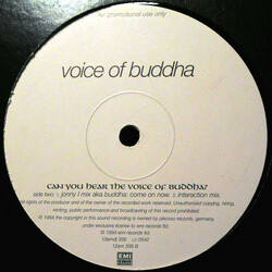 Voice Of Buddha Can You Hear The Voice Of Buddha? Vinyl 12" USED
