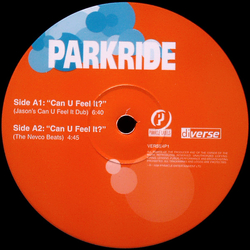 Parkride Can You Feel It? Vinyl 12" USED