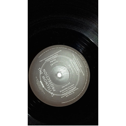 The Montellas Protection Vinyl 12" USED