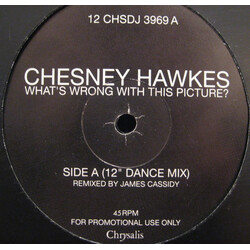 Chesney Hawkes What's Wrong With This Picture USED VINYL 12INCH PROMO 45 RPM