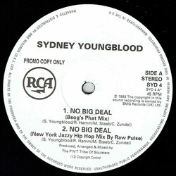 Sydney Youngblood No Big Deal USED VINYL 12INCH 45 RPM PROMO