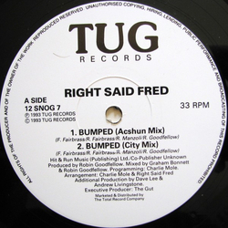Right Said Fred Bumped Vinyl 12" USED