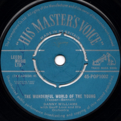Danny Williams / Geoff Love & His Orchestra The Wonderful World Of The Young Vinyl 7" USED