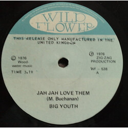 Big Youth / Negusa Nagast All Stars Jah Jah Love Them / In The Oven Baking Vinyl 7" USED