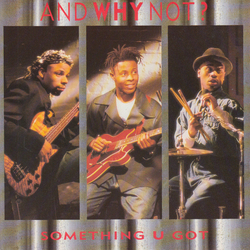 And Why Not? Something U Got Vinyl 7" USED