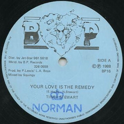 Tinga Stewart Your Love Is My Remedy USED VINYL 12INCH