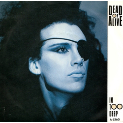 Dead Or Alive In Too Deep Vinyl 7" USED