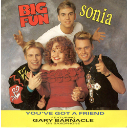 Big Fun / Sonia / Gary Barnacle You've Got A Friend Vinyl 7" USED