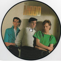 The Mood Passion In Dark Rooms USED VINYL 7INCH 45 RPM SINGLE PICTURE DISC