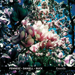 Fennesz / David Daniell / Tony Buck Knoxville Vinyl LP USED