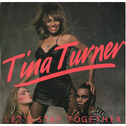 Tina Turner Let's Stay Together Vinyl 12" USED