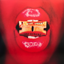 Phz-Sicks The Moment II A Good Day Vinyl LP USED