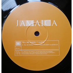 Jamaica Tell Me Where It Hurts Vinyl 12" USED