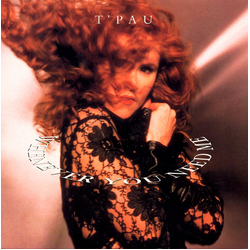 T'Pau Whenever You Need Me Vinyl 7" USED