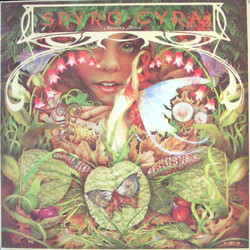 Spyro Gyra Morning Dance Vinyl LP USED