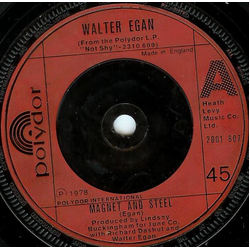 Walter Egan Magnet And Steel Vinyl 7" USED