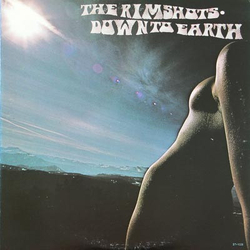 The Rimshots Down To Earth Vinyl LP USED