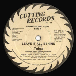 Tolga (2) Leave It All Behind VINYL 12" USED