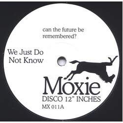 Unknown Artist We Just Do Not Know USED VINYL 12INCH 33 S RPM 45 RPM