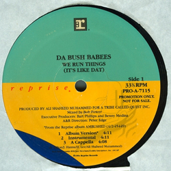 Da Bush Babees We Run Things / Original Vinyl 12" USED