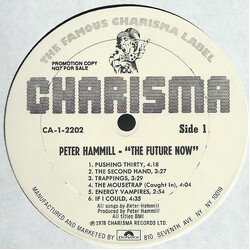 Peter Hammill The Future Now Vinyl LP USED