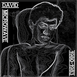 David Microwave 1980-83 Vinyl LP USED