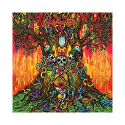 Master Musicians Of Bukkake Totem Three Vinyl LP USED