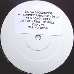 Various Summer Paradise / Feel The Buzz VINYL 12" USED