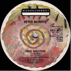 Peter Murphy Final Solution Vinyl 12" USED