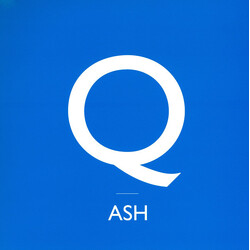Ash Binary USED VINYL 7INCH SINGLE SIDED ETCHED LIMITED EDITION