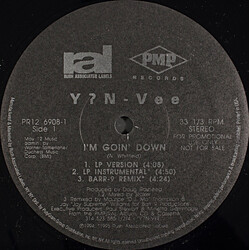 Y.N.V. I'm Goin' Down USED VINYL 12INCH 33 S RPM PROMO