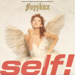 We've Got A Fuzzbox And We're Gonna Use It Self! USED VINYL 7INCH 45 RPM SINGLE STEREO
