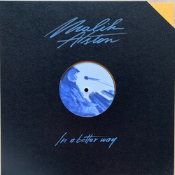 Malik Alston In A Better Way Vinyl 12" USED