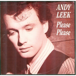 Andy Leek Please Please Vinyl 7" USED