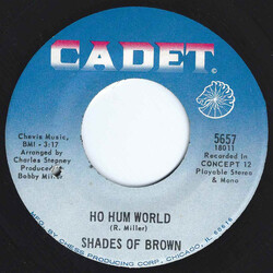 Shades Of Brown Ho Hum World / Little Girl USED VINYL 7INCH 45 RPM