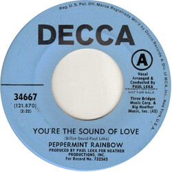 The Peppermint Rainbow You're The Sound Of Love USED VINYL 7INCH 45 RPM PROMO