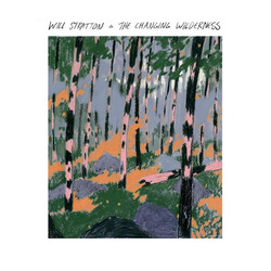 Will Stratton The Changing Wilderness Vinyl LP USED