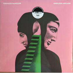 Teenage Fanclub Endless Arcade Vinyl LP USED