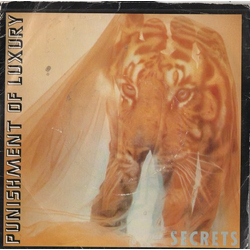 Punishment Of Luxury Secrets Vinyl 7" USED