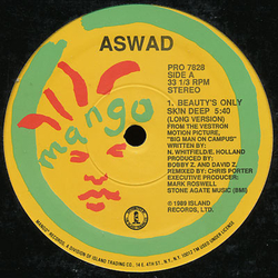 Aswad Beauty's Only Skin Deep Vinyl 12" USED