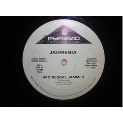 Jahmenia / Desi Roots Bad Reggae Jammer / Lonely Soldier USED VINYL 12INCH 45 RPM