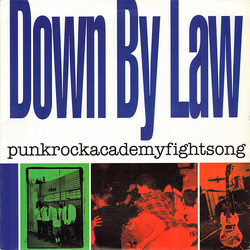 Down By Law (2) Punkrockacademyfightsong Vinyl LP USED