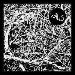 Walls Stare At The Walls USED VINYL 7INCH EP REPRESS