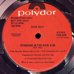 Don Ray Standing In The Rain VINYL 12" USED