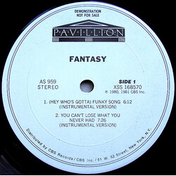 Fantasy (2) (Hey Who's Gotta) Funky Song Vinyl 12" USED