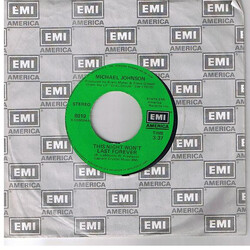 Michael Johnson (5) This Night Won't Last Forever USED VINYL 7INCH 45 RPM SINGLE
