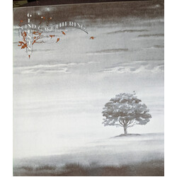 Genesis Wind & Wuthering Vinyl LP USED
