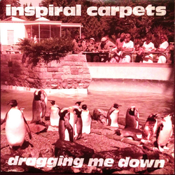 Inspiral Carpets Dragging Me Down Vinyl 7" USED