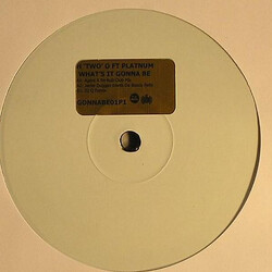 H Two O / Platnum (3) What's It Gonna Be USED VINYL 12INCH WHITE LABEL PROMO
