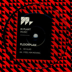 Floorplan So Glad / I Feel Him Moving USED VINYL 12INCH 45 RPM